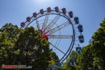 Riesenrad (Willenborg) - Kirmes - Bilder - Die moderne LED-Beleuchtung macht eine Fahrt am Abend zu einem echten Erlebnis.  • © ummet-eck.de - Christian Schön